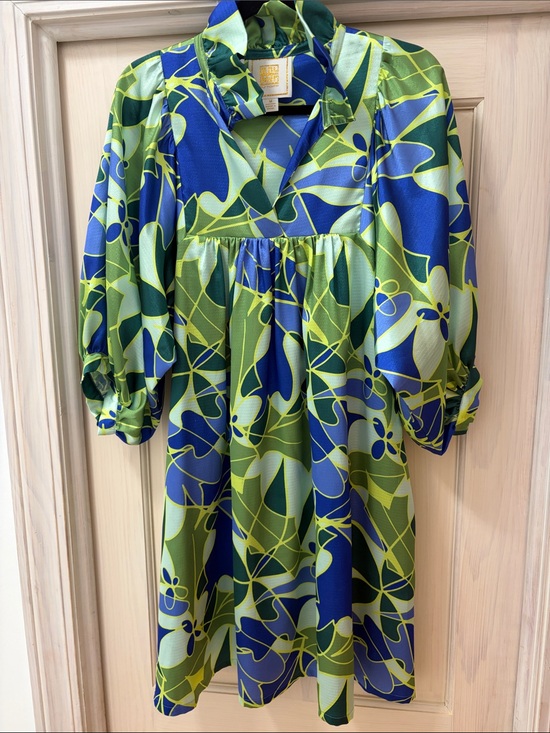 Emily Mccarthy Dresses & Skirts - Emily McCarthy Green & Blue and green Dress